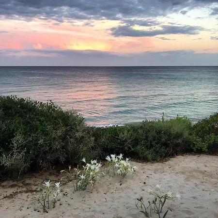 La Cicocca, 50 Mt From The